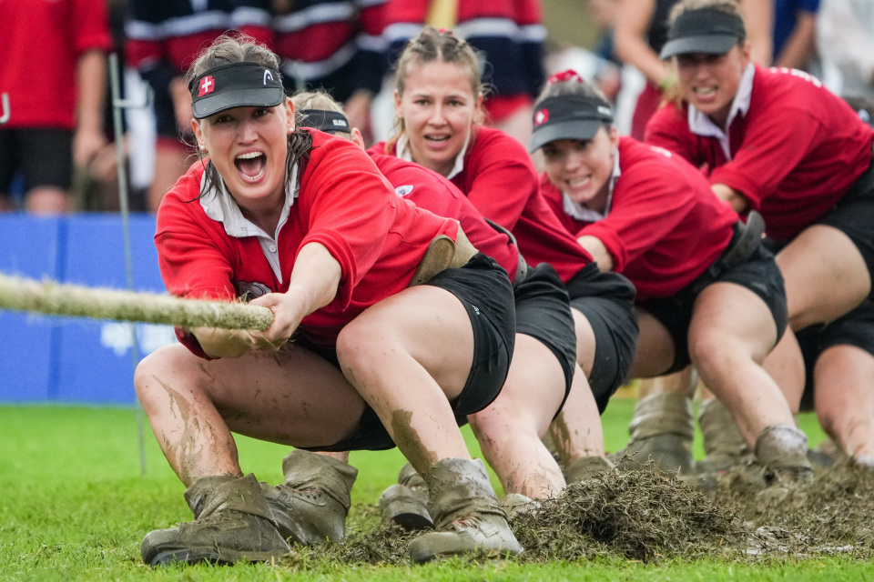 com, 得亚军, 李博